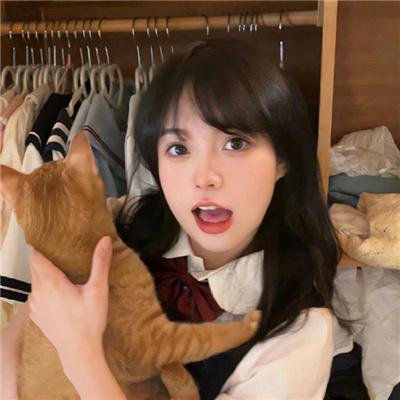 茶花彝女